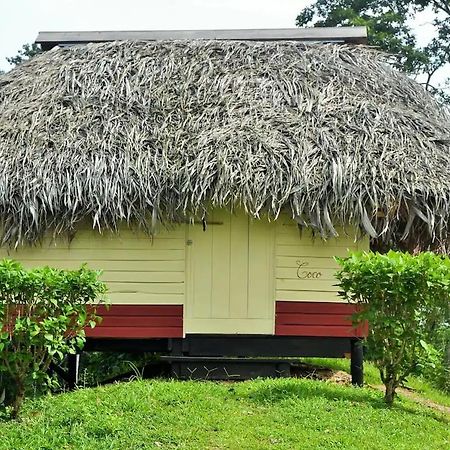 Nathylodge Bocas del Toro Zewnętrze zdjęcie