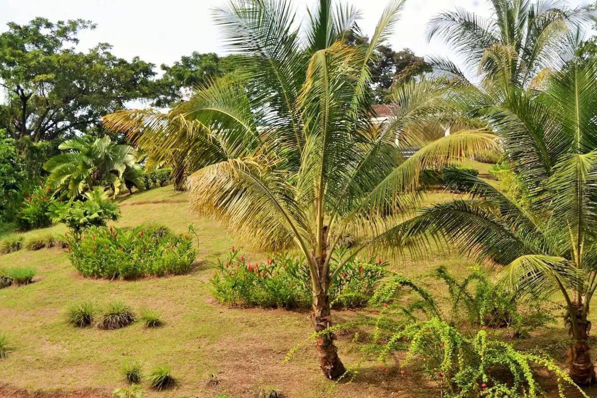 Nathylodge Bocas del Toro Zewnętrze zdjęcie