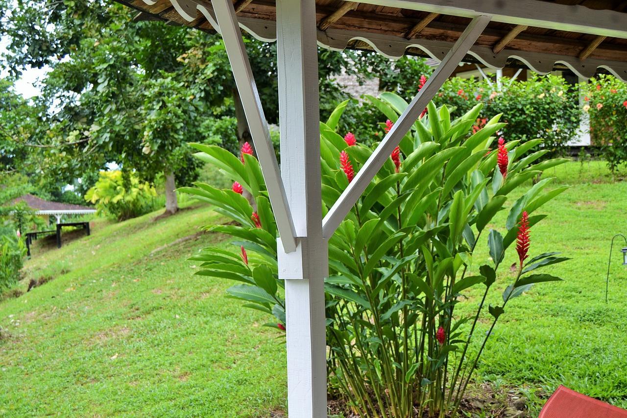 Nathylodge Bocas del Toro Zewnętrze zdjęcie