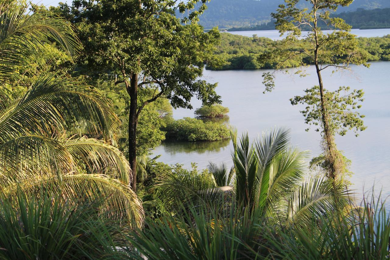 Nathylodge Bocas del Toro Zewnętrze zdjęcie