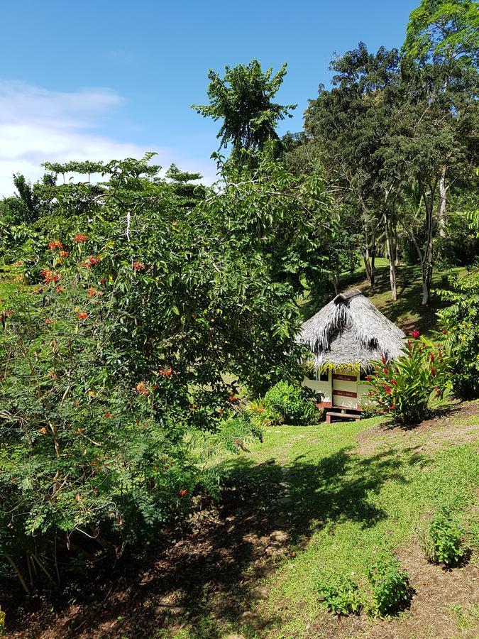 Nathylodge Bocas del Toro Zewnętrze zdjęcie