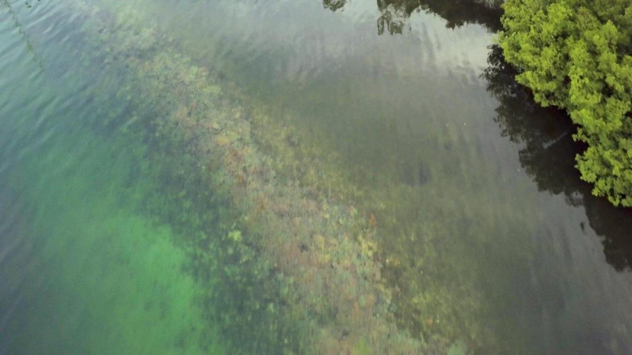 Nathylodge Bocas del Toro Zewnętrze zdjęcie